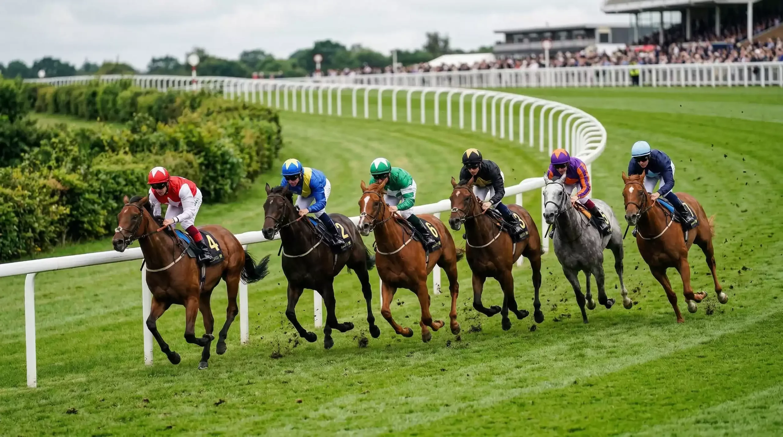 Heinz bet with 57 combinations from six horse racing selections